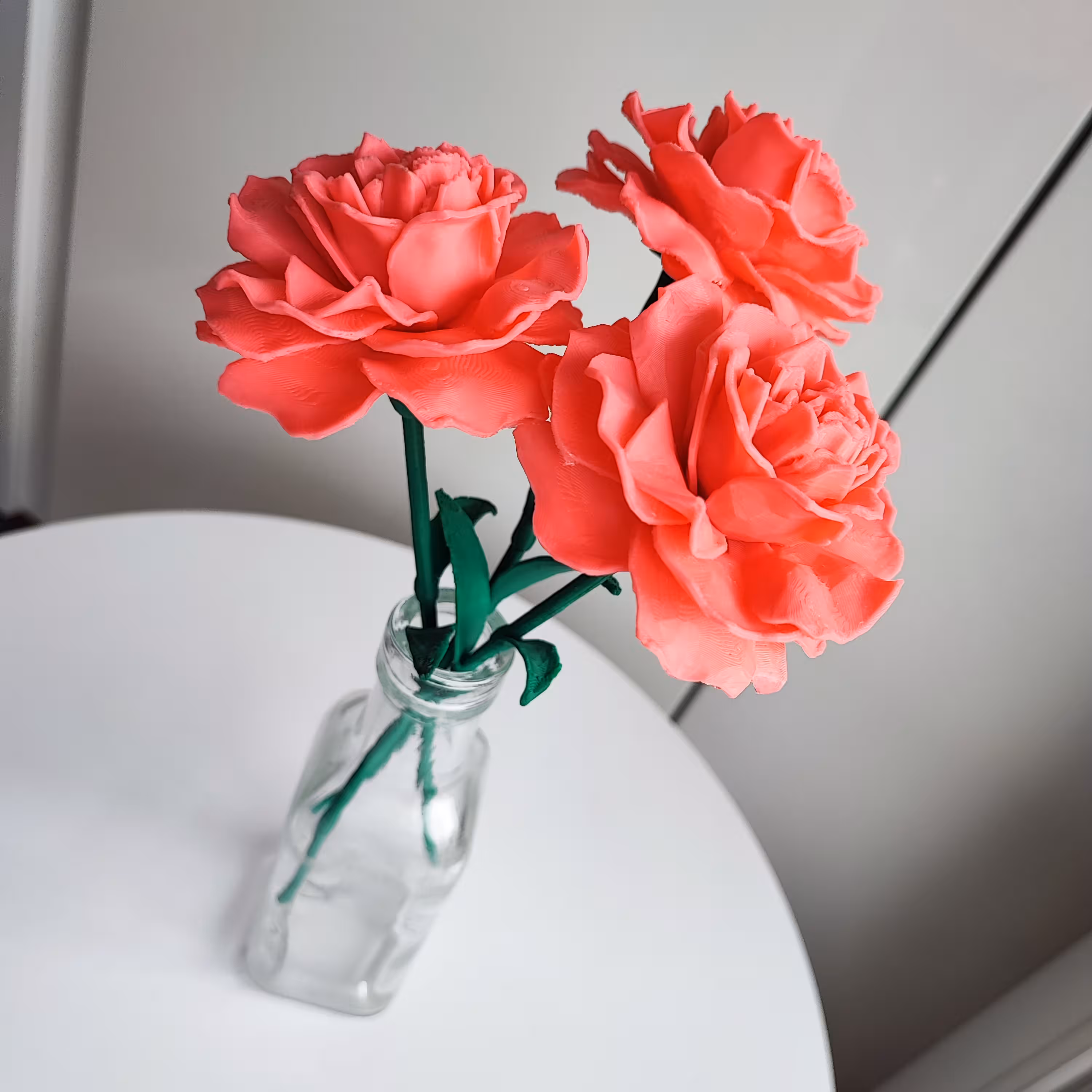 Trzy różowe goździki